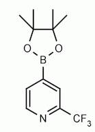 2-(Trifluoromethyl)pyridine-4-boronic acid pinacol ester