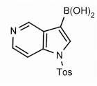 1-Tosyl-1H-pyrrolo[3,2-c]pyridine-3-boronic acid