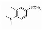 4-(N,N-Dimethylamino)-3-methylphenylboronic acid