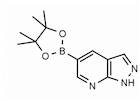 1H-Pyrazolo[3,4-b]pyridine-5-boronic acid pinacol ester