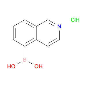 Isoquinoline-5-boronic acid, HCl