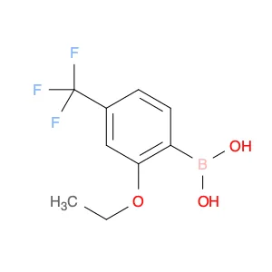 2-Ethoxy-4-trifluoromethylphenylboronic acid