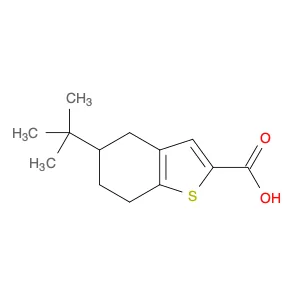 5-(tert-Butyl)-4,5,6,7-tetrahydrobenzo[b]thiophene-2-carboxylic acid