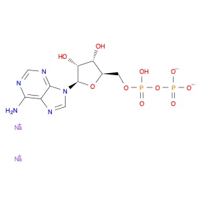 Adenosine 5'-(trihydrogen diphosphate), sodium salt (1:2)