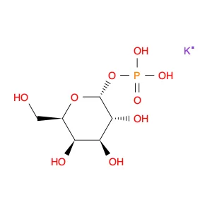 Potassium (2R,3R,4S,5R,6R)-3,4,5-Trihydroxy-6-(Hydroxymethyl)Tetrahydro-2H-Pyran-2-Yl Phosphate