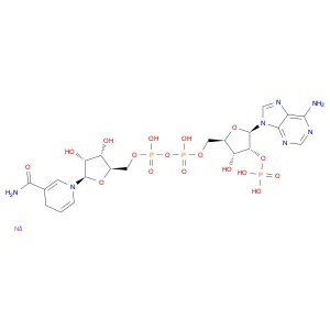 NADPH Tetrasodium Salt