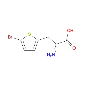 2-Thiophenepropanoic acid, α-amino-5-bromo-, (αR)-