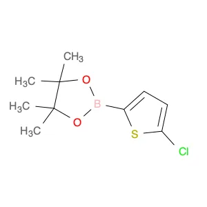 5-Chlorothiophene-2-boronic acid pinacol ester