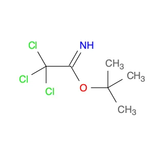 tert-Butyl 2,2,2-trichloroacetimidate