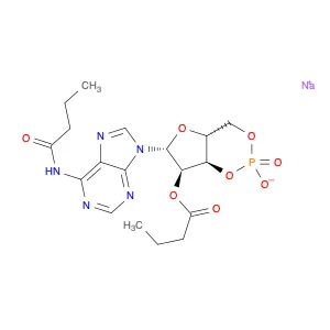 N-6,O-2'-Dibutyryladenosine cyclic 3',5'-monophosphate sodium salt