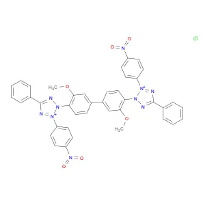 2H-Tetrazolium, 2,2'-(3,3'-dimethoxy[1,1'-biphenyl]-4,4'-diyl)bis[3-(4-nitrophenyl)-5-phenyl-, chl…