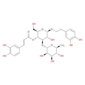 Acteoside