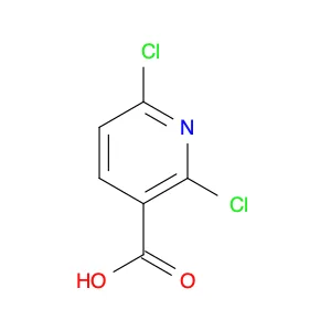 2,6-Dichloronicotinic acid