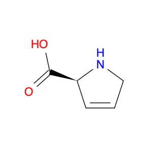 3,4-Dehydro-L-proline