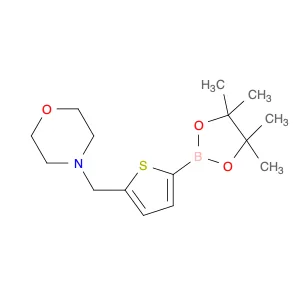 4-((5-(4,4,5,5-Tetramethyl-1,3,2-dioxaborolan-2-yl)thiophen-2-yl)methyl)morpholine