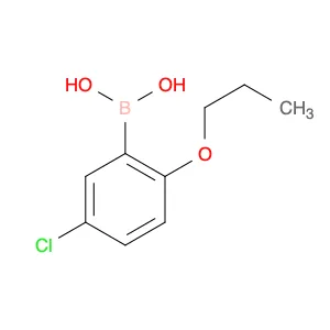 B-(5-Chloro-2-propoxyphenyl)boronic acid