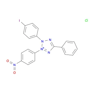Iodonitrotetrazolium chloride