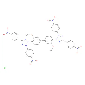 Tetranitroblue tetrazolium chloride