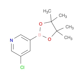 5-Chloropyridine-3-boronic acid, pinacol ester