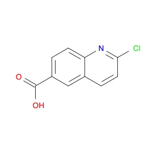 2-chloroquinoline-6-carboxylic acid