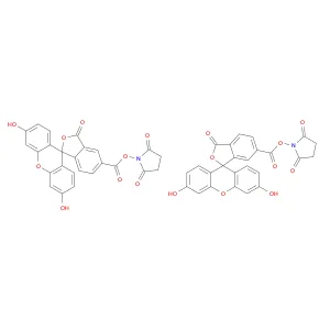 5(6)-Carboxyfluorescein N-hydroxysuccinimide ester