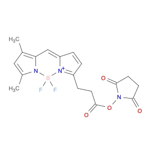 EverFluor FL, SE  [4,4-Difluoro-5,7-DiMethyl-4-Bora-3a,4a-Diaza-s-Indacene-3-Propionic Acid, Succi…