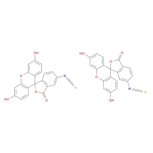 Fluorescein isothiocyanate