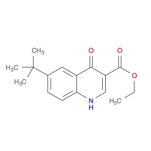 6-tert-Butyl-4-hydroxy-quinoline-3-carboxylic acid ethyl ester