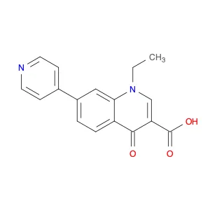 1-Ethyl-4-oxo-7-(4-pyridyl)-1,4-dihydroquinoline-3-carboxylic Acid