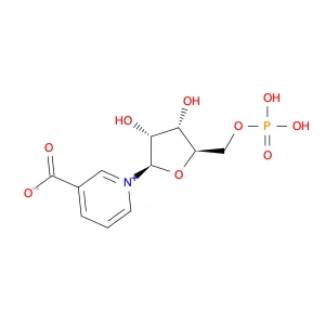 Nicotinic acid mononucleotide