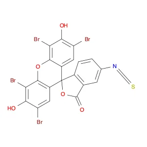 Eosin 5-isothiocyanate