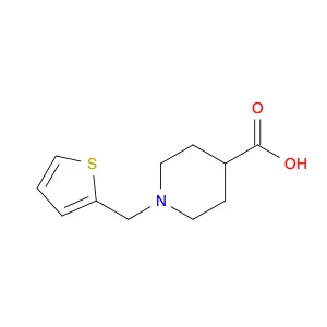 1-(2-Thienylmethyl)-4-piperidinecarboxylic acid