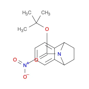 2-Methyl-2-propanyl 4-nitro-11-azatricyclo[6.2.1.02,7]undeca-2,4,6-triene-11-carboxylate