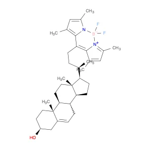 (T-4)-[(3β)-24-(3,5-Dimethyl-1H-pyrrol-2-yl-κN)-24-(3,5-dimethyl-2H-pyrrol-2-ylidene-κN)chol-5-en-…
