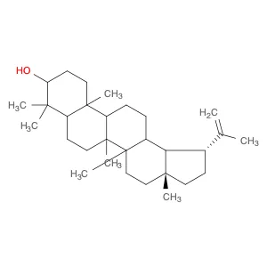 Lup-20(29)-en-3-ol, (3b)-