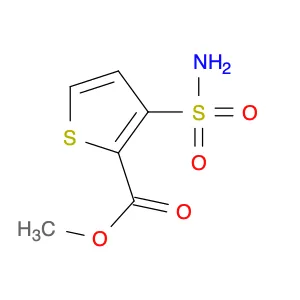 Methyl 3-aminosulfonylthiophene-2-carboxylate