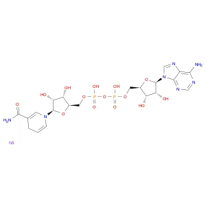 β-NICOTINAMIDE ADENINE DINUCLEOTIDE DISODIUM SALT