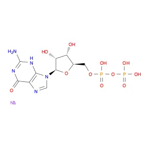 Guanosine-5-Diphosphate Disodium Salt