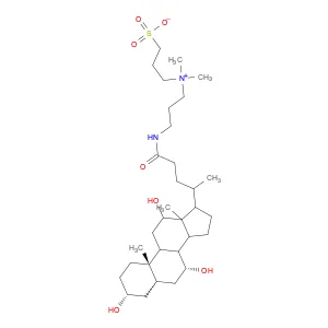 3-[(3-Cholamidopropyl)dimethylammonio]-1-propanesulfonate