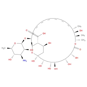 AmphotericinB