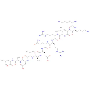 Autocamtide-2-related inhibitory peptide