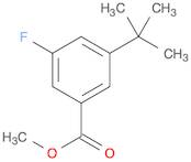 Benzoic acid, 3-(1,1-dimethylethyl)-5-fluoro-, methyl ester