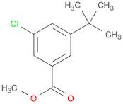 Benzoic acid, 3-chloro-5-(1,1-dimethylethyl)-, methyl ester