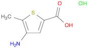 2-Thiophenecarboxylic acid, 4-amino-5-methyl-, hydrochloride (1:1)