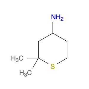 2,2-dimethylthian-4-amine