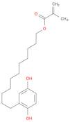 2-Propenoic acid, 2-methyl-, 11-(2,5-dihydroxyphenyl)undecyl ester