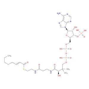 Coenzyme A, S-(2E)-2-octenoate