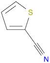 2-Thiophenecarbonitrile