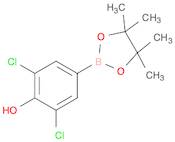 Phenol, 2,6-dichloro-4-(4,4,5,5-tetramethyl-1,3,2-dioxaborolan-2-yl)-