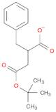 Butanedioic acid, 2-(phenylmethyl)-, 4-(1,1-dimethylethyl) ester